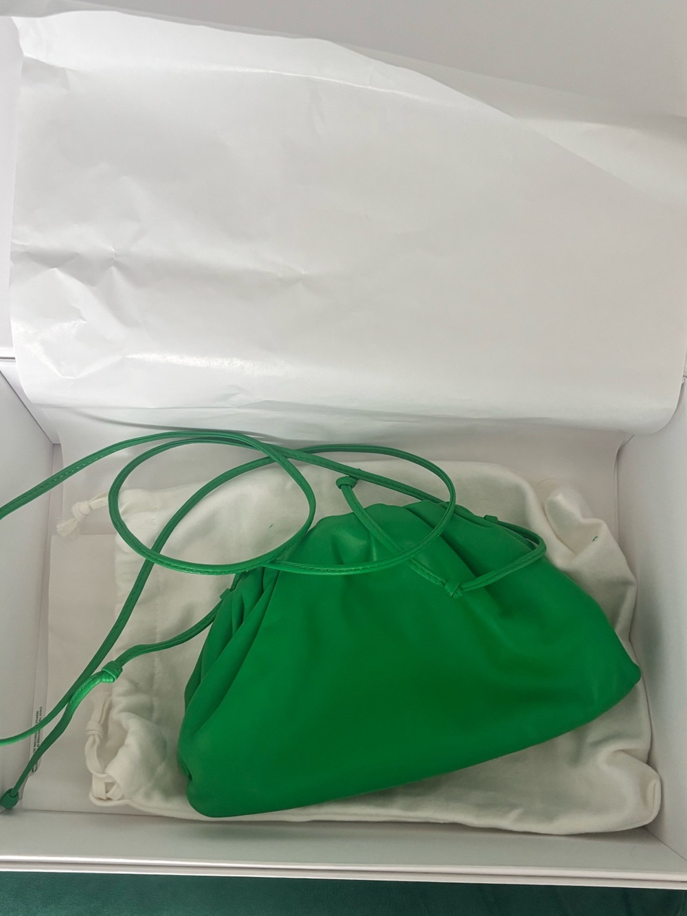 Brand New Bottega Veneta Pouch Bag